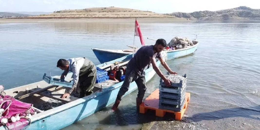 Denizi olmayan bozkırdan Avrupa sofralarına: Çekerek’te ihraç edilen balıklar rekor kırıyor! 2